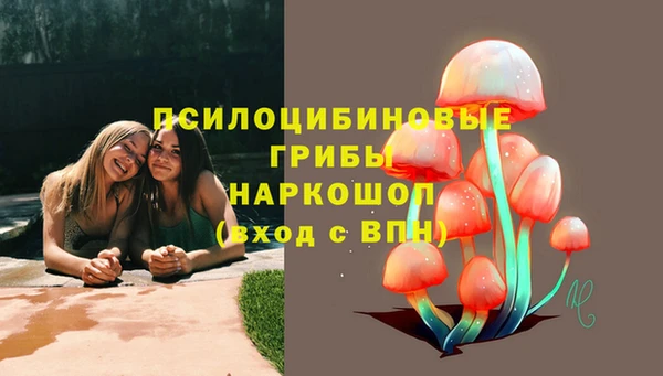 мет Алексин