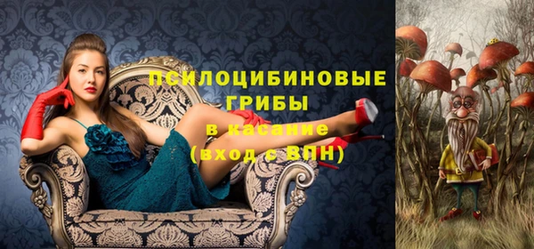 амф Абинск