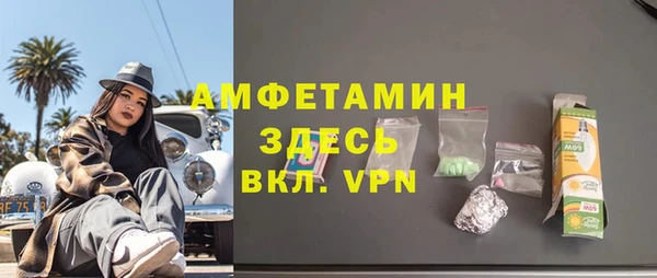мет Алексин