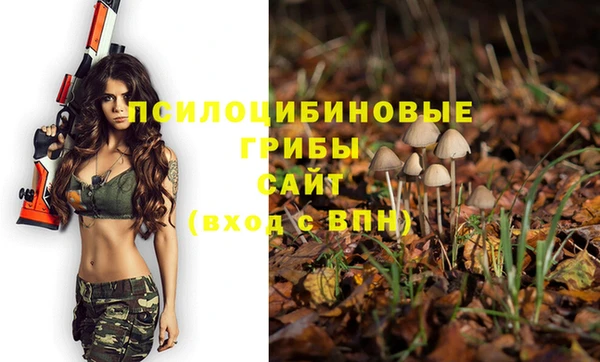 амф Абинск