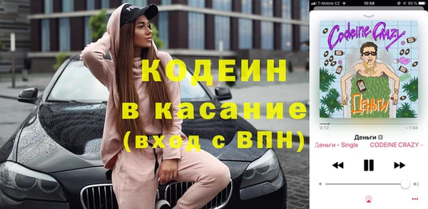 мет Алексин
