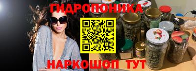 PSILOCYBIN Кимры