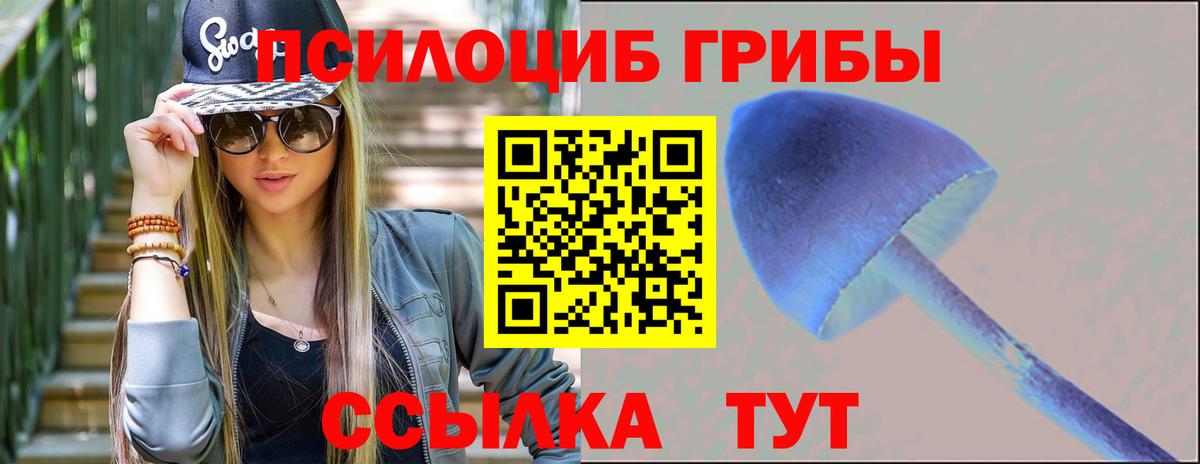 Галлюциногенные грибы ЛСД  Псилоцибиновые грибы прущие грибы  Вход с VPN  Удомля 